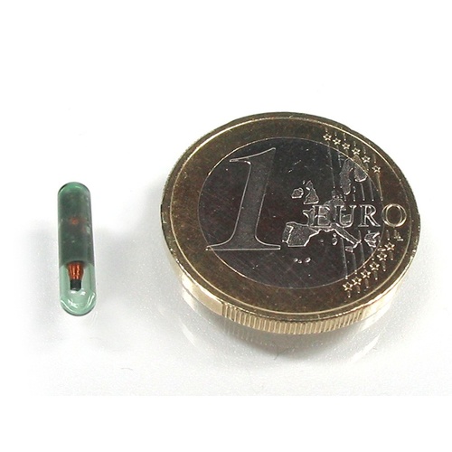 Motogadget m-Lock Key Glass Tube