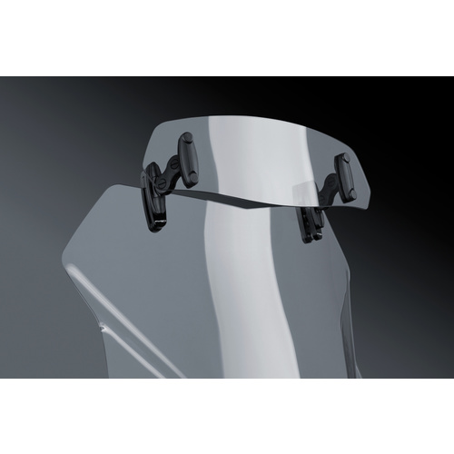 Puig Multiregulable Visor Clip-On