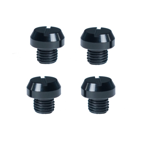 Pyramid Mirror Blanking Bolts | M10 x 8mm | 4 Pack