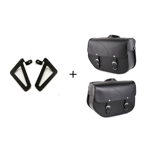 Custom Acces Sant Louis Saddlebags With Universal Support