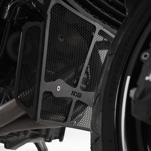 R&G Racing Downpipe Grille To Suit the BMW F900 R '20-