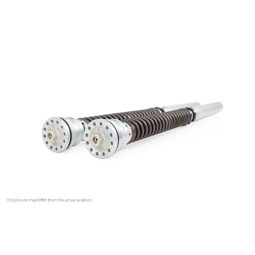 Ohlins Ducati Panigale V4 R (FL 954) (SET)