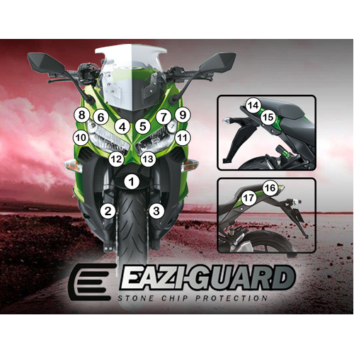 Eazi-Guard Paint Protection Film for Kawasaki Ninja 1000 2011 - 2016  matte