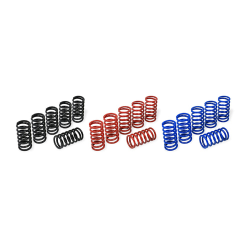 CNC Racing Clutch springs H45 - BMW