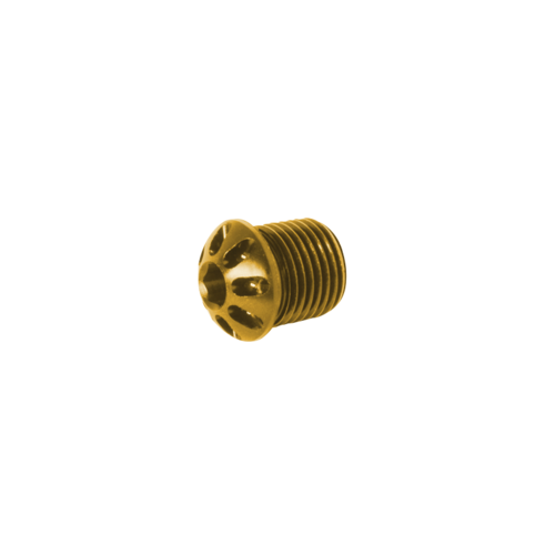 Bonamici Racing Replacement Cap For Rearsets (Gold)