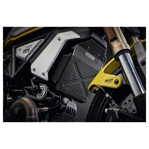 Evotech Performance Oil Cooler Guard To Suit Ducati Scrambler 1100 Urban Motard (2022 - Onwards)