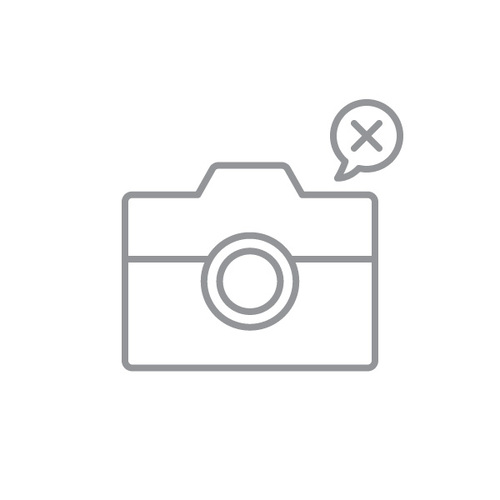 RAM-B-138-GA33 :: RAM MOUNT GARMIN NUVI 1200