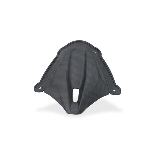 CNC Racing Front Fairing Infill Ducati Panigale V4 - Carbon